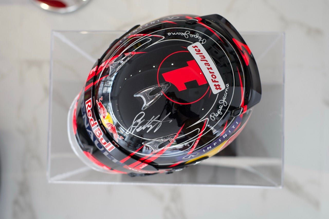 2014 Sebastian Vettel "Pink Panther" Helmet