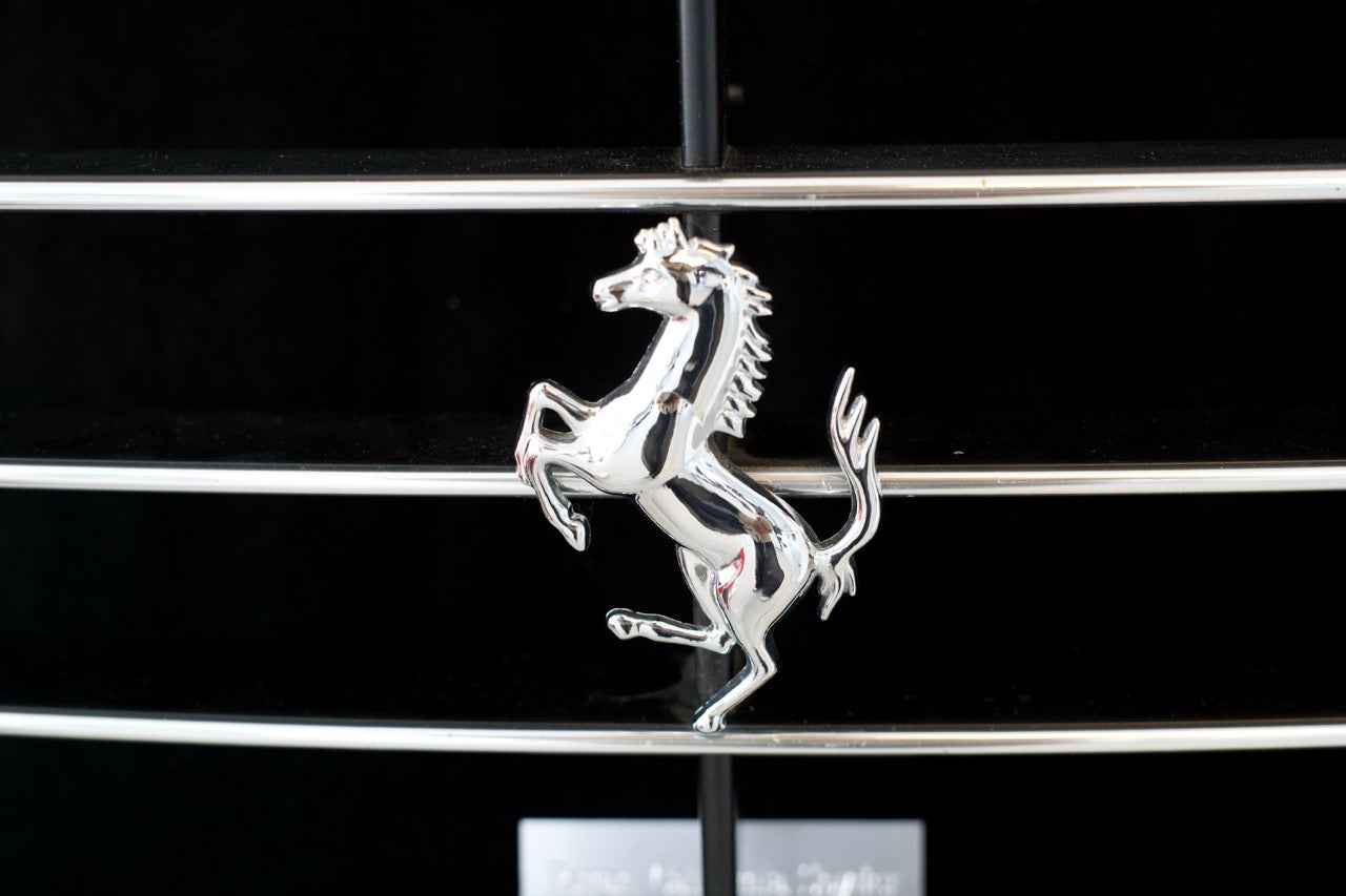 Ferrari California Spyder Front Grill